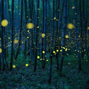 黑虎在么交车上射精
