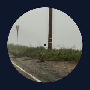 夏晴子被爆操黄色插网站
