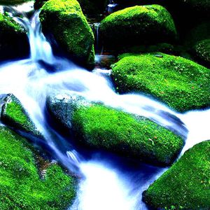 国产午夜无码福利视频
