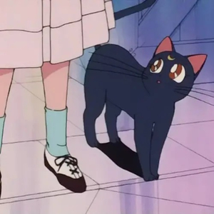 天天射天天操天天干
