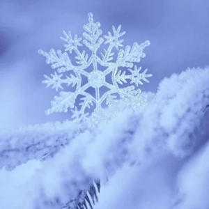 欧美猛男大粗吊1069
