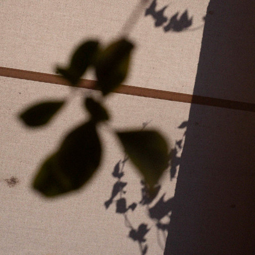 欧美色播❌❌1218
