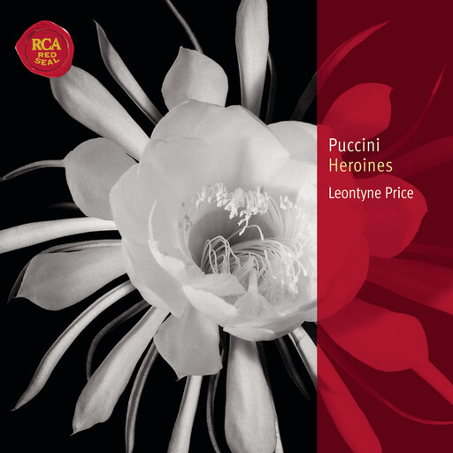 新呕吐视频吐了3次
